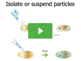 Identification of particle contaminants with Hound