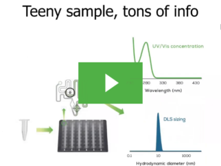 Tag, you’re it! Spot when labeling causes aggregation for your proteins with Stunner