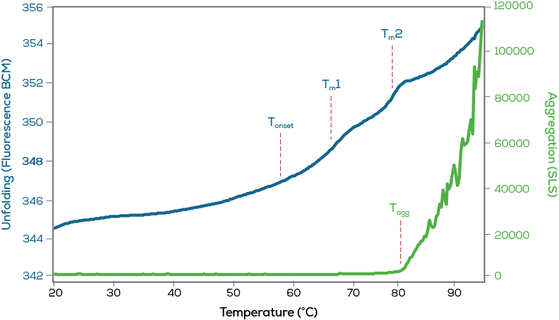 BSM DSF_r2_black x axis