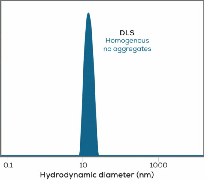 DLS-Combo_r3-1536x600-1@2x-1536x60011