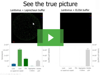 Virtual Seminar: Leprechaun leads you to lentivirus gold