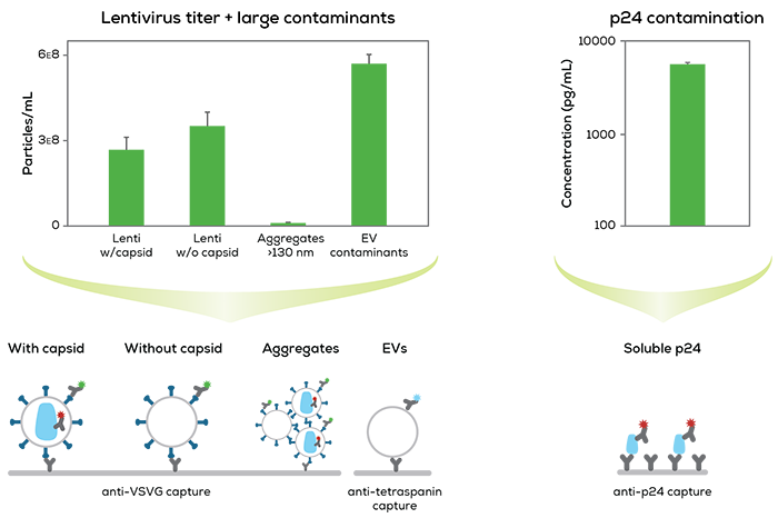 lentivirus-graphs_v3_crop